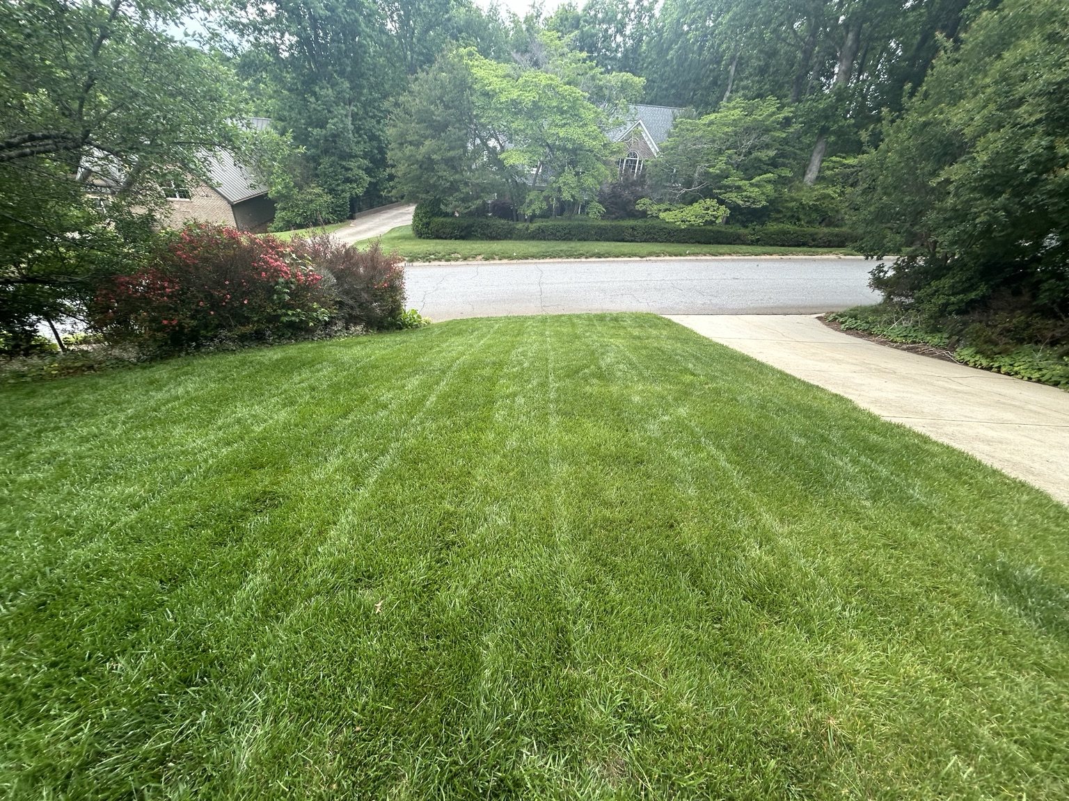 Lawn mowing and edging by Watershed Landscaping